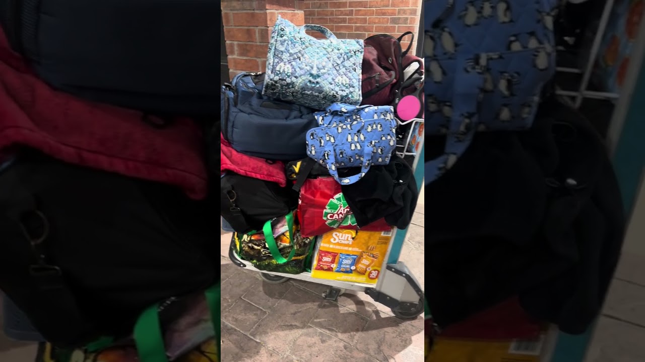 Christmas road trip - volume 1 - Hobby Lobby Haul (plus 3 rolls of wrapping paper that I forgot)