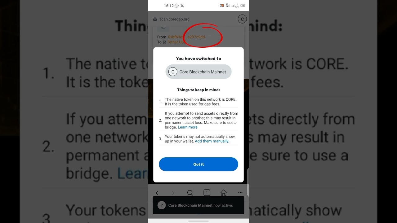 Adding core mainnet wallet address to Metamask and copying to Satoshi