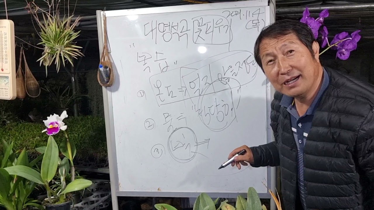 대명석곡 꽃피우기 복습하고 가세요 물관리 온도관리