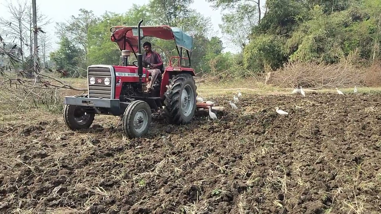 खेतों की  धिरायी का काम चालू 