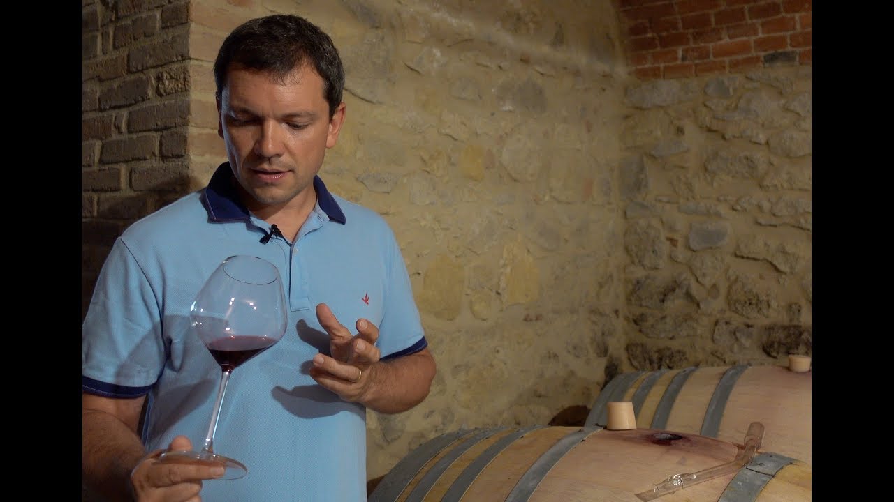 In vino veritas Ep.1 :  i rari vitigni baratuciat e slarina riscoperti nel Monferrato