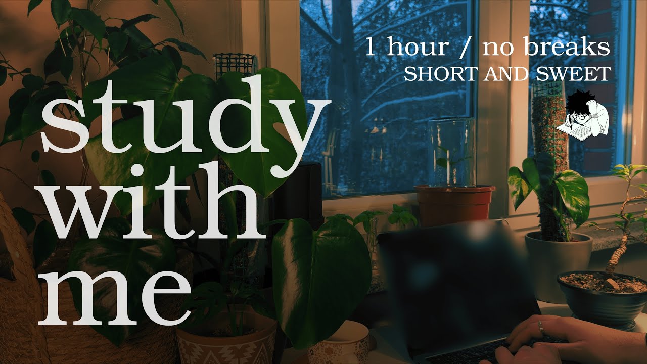 Study With Me / 1 HOUR ✍️📚/ chill lofi and a Peaceful Evening in Croatia / 60-0 Pomodoro