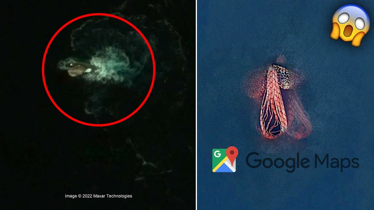 WUJUD MONSTER LAUT KRAKEN & FAKTA SEBENARNYA DI GOOGLE MAPS/EARTH - MONSTER GURITA CUMI CUMI DI LAUT