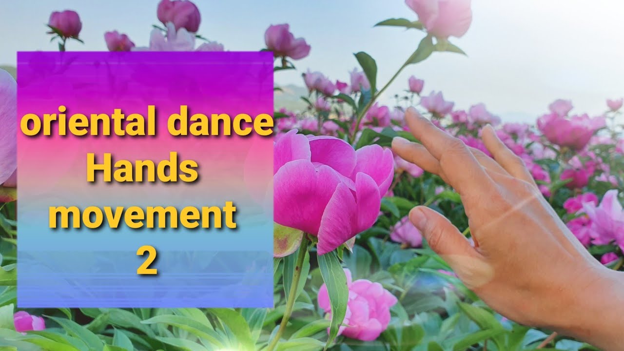 Angella Kim - Oriental dance Hands movement Bellydance Technique Tips 5-2
