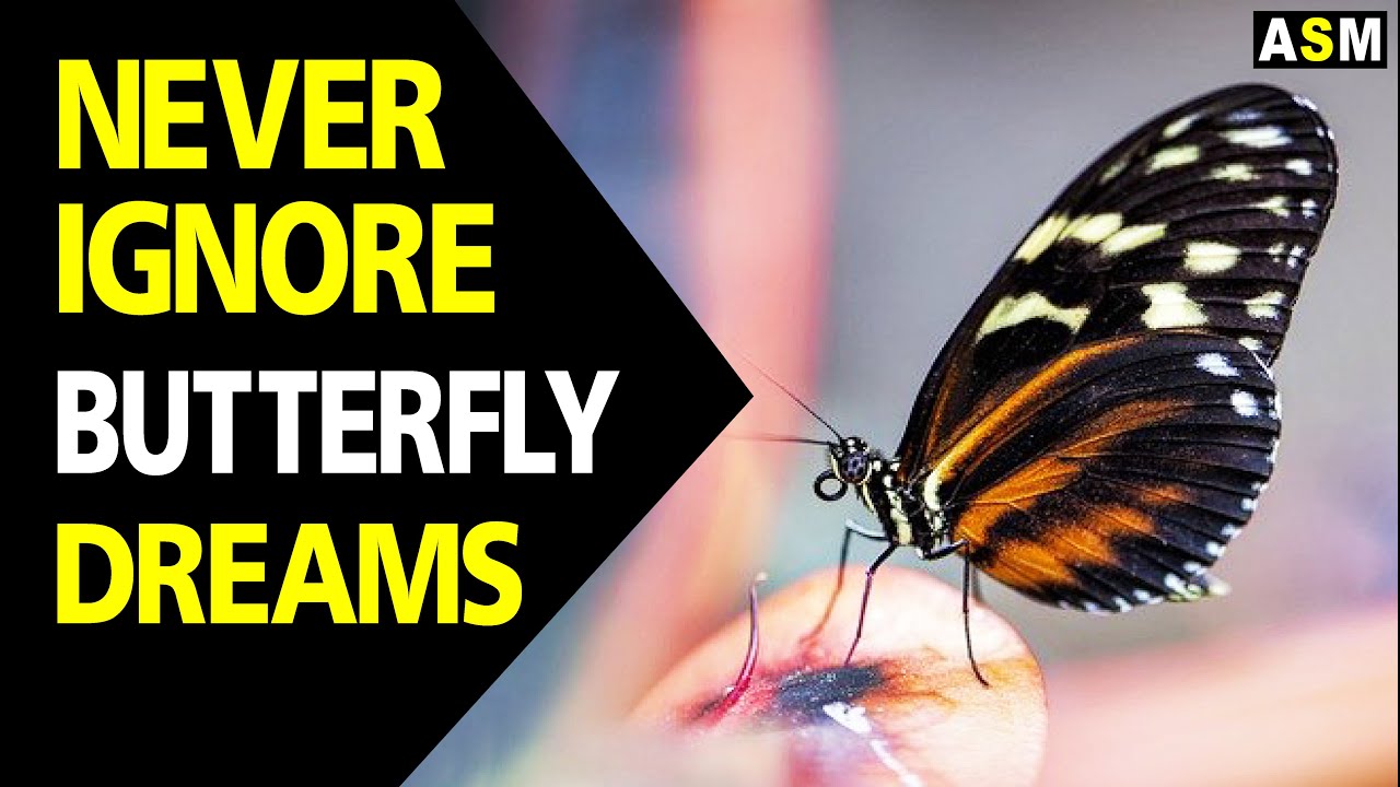 What does Butterfly dream meaning | Dreaming of butterfly mean | Butterfly dream interpretation