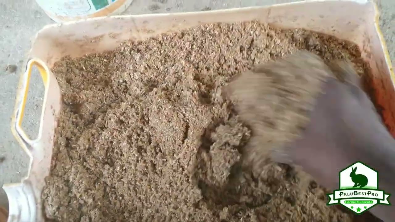 Distribution d'un aliment farineux aux lapins
