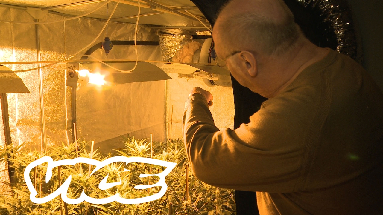 SpeesCees, de koning van de cannabis | VICE Meets