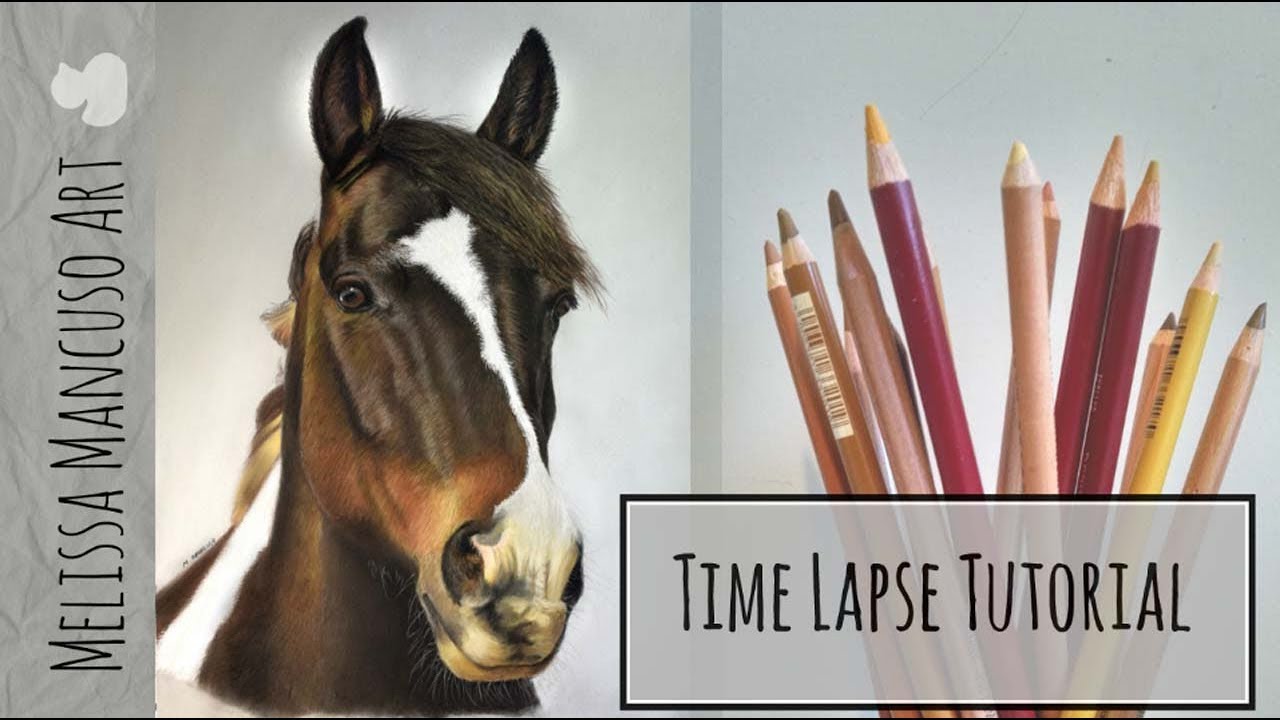 Drawing a Horse in Pastel Pencils - Melissa Mancuso Art