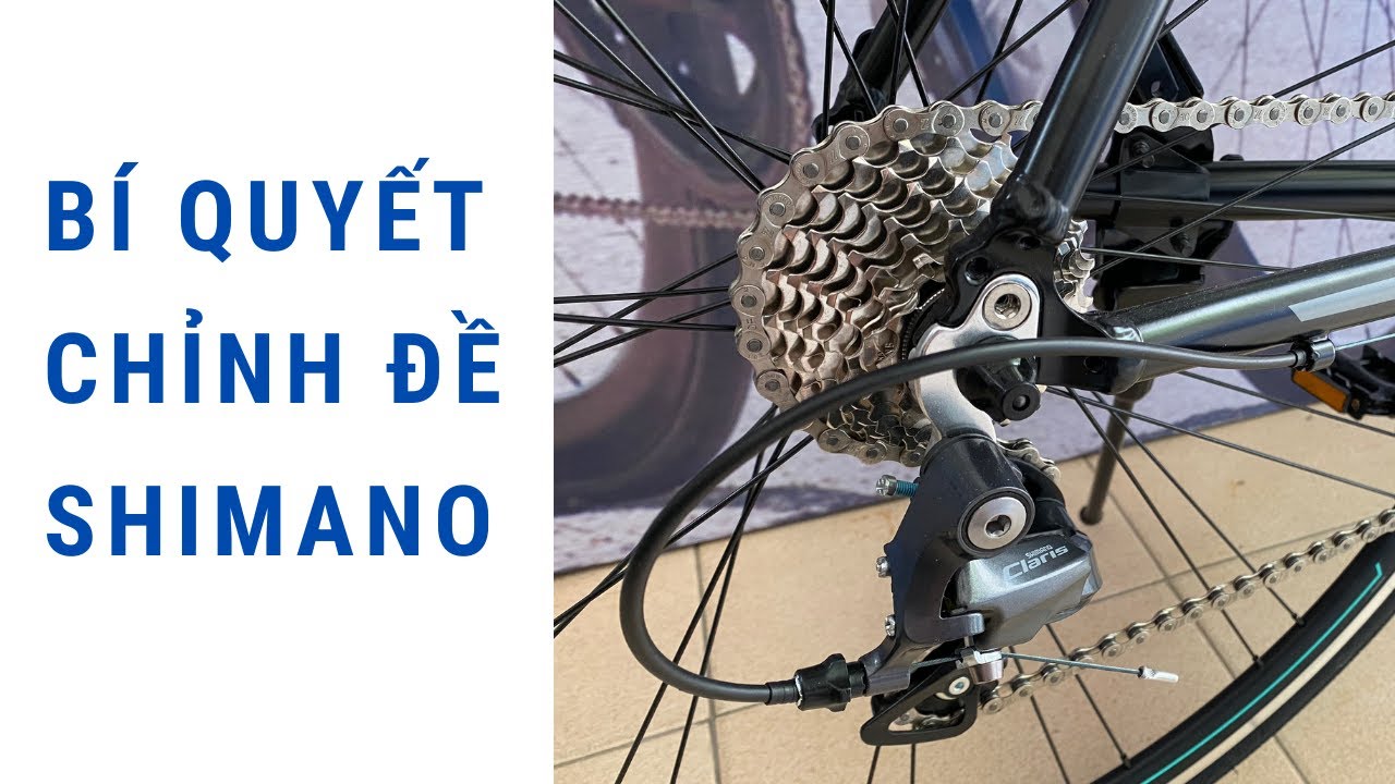 Bạn Có Muốn Bí Quyết Chỉnh Củ Đề Sau Xe Đạp Đua ?