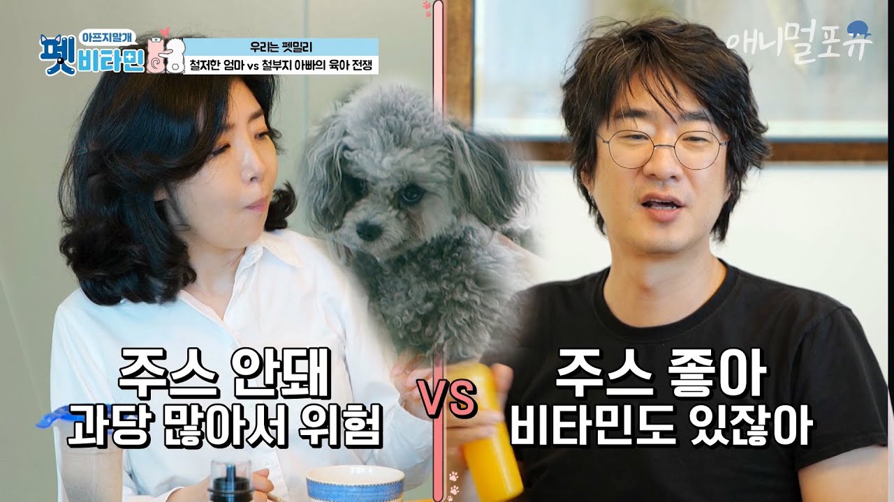 반려견에 오렌지 주스 줘도 된다 vs 안 된다로 싸우는 의사 부부 여에스더와 홍혜걸 [펫 비타민], KBS 201217 방송