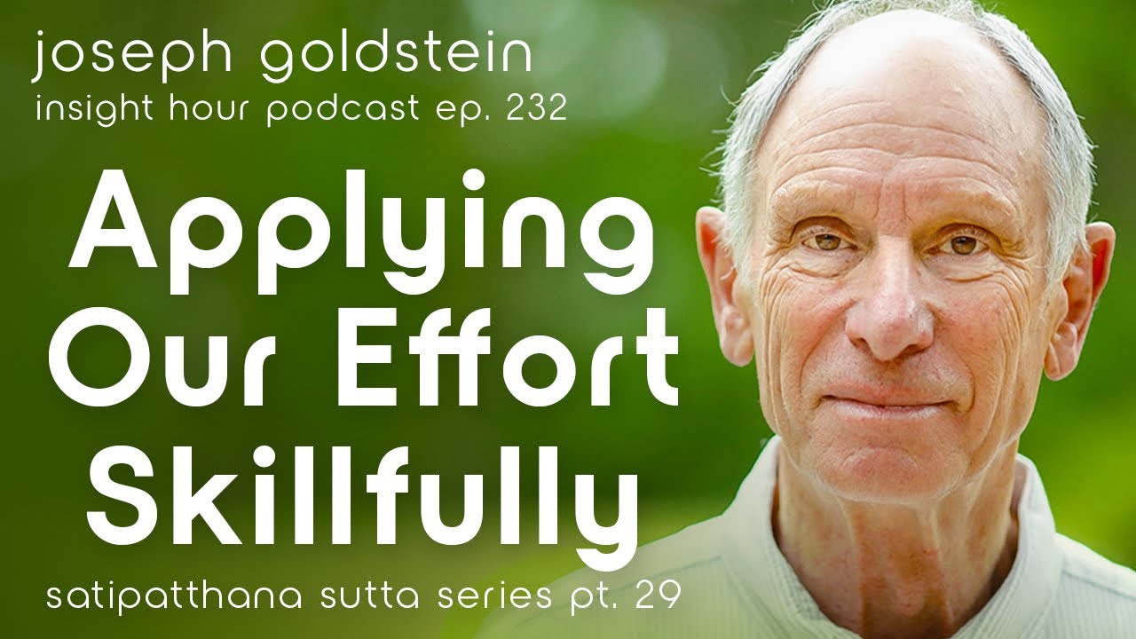 Joseph Goldstein on Applying Our Effort Skillfully &ndash; Insight Hour Ep. 232 Satipatthana Sutta Pt. 29