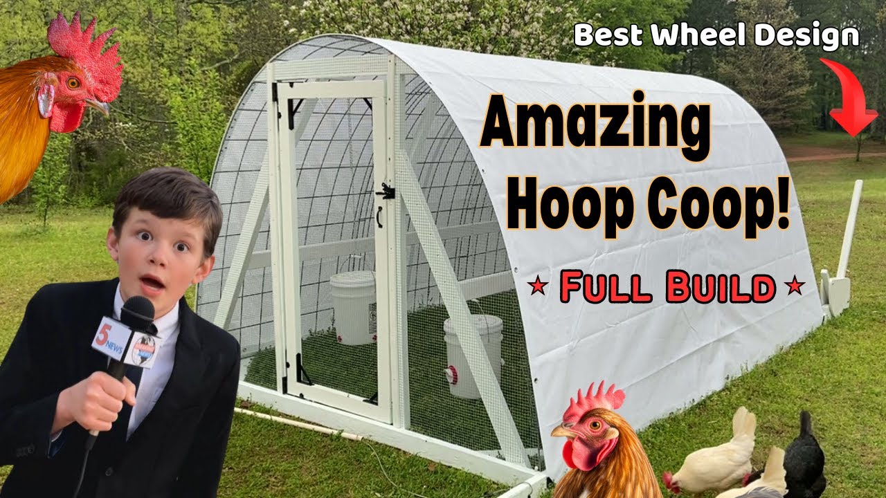 How to build a chicken coop - the 