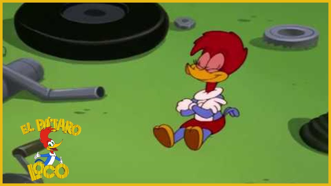 El Pájaro Loco Episodio Completo | Dibujos Animados | Curso intensivo