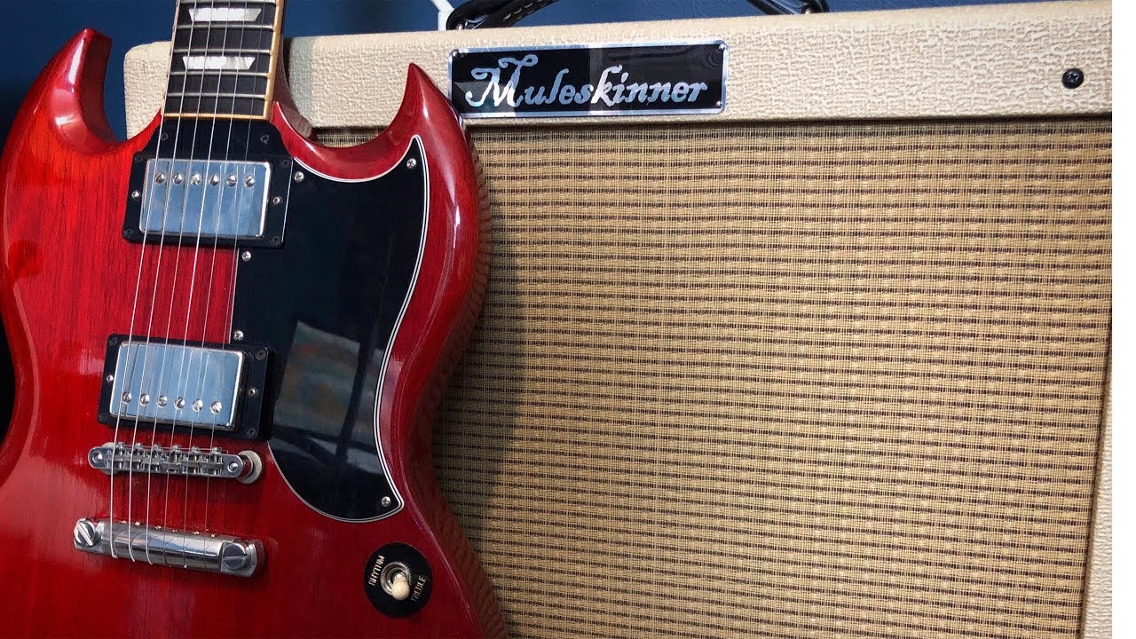 Muleskinner Amps - 17 Watt