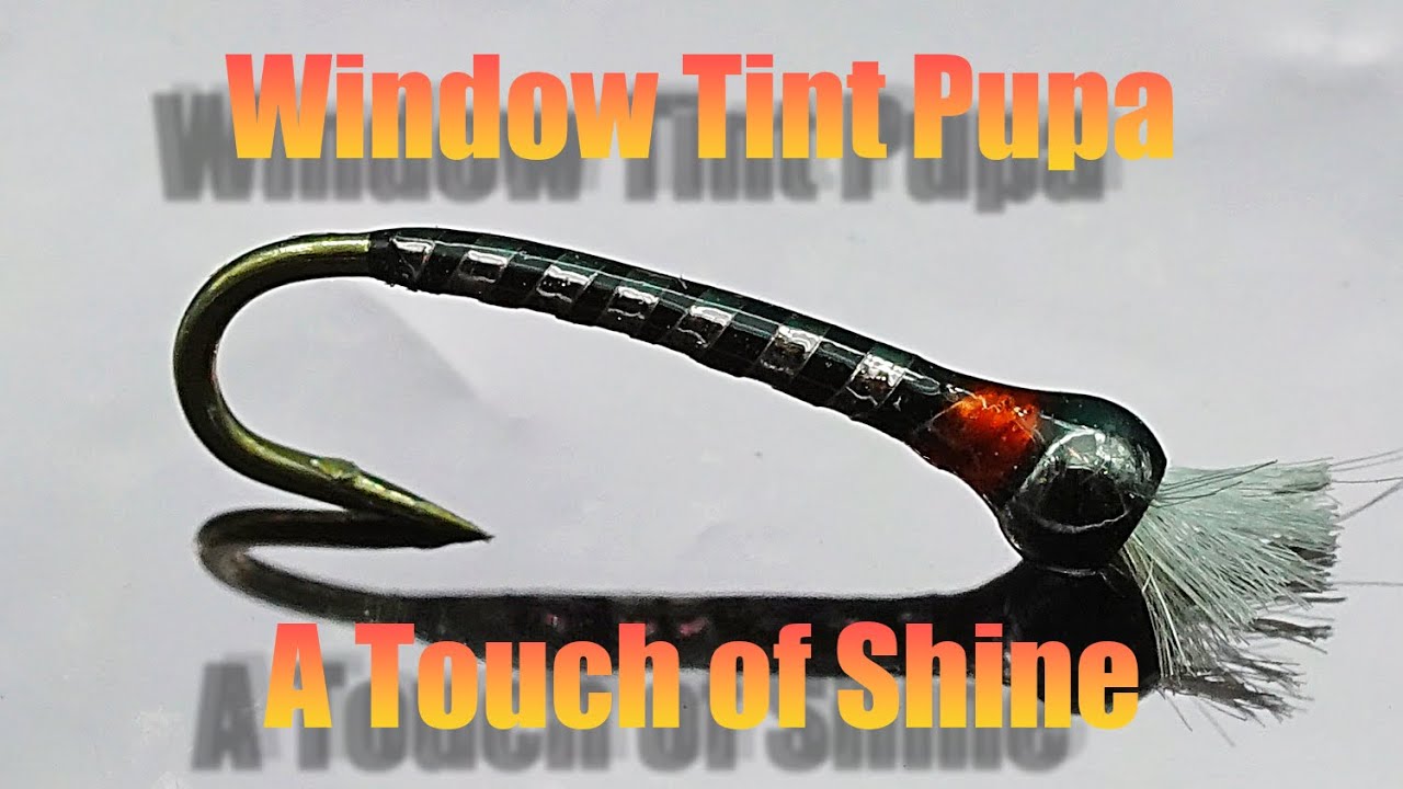 Shiny Bugs Fool Hungry Trout Every Time!-How to Tie a Window Tint Pupa