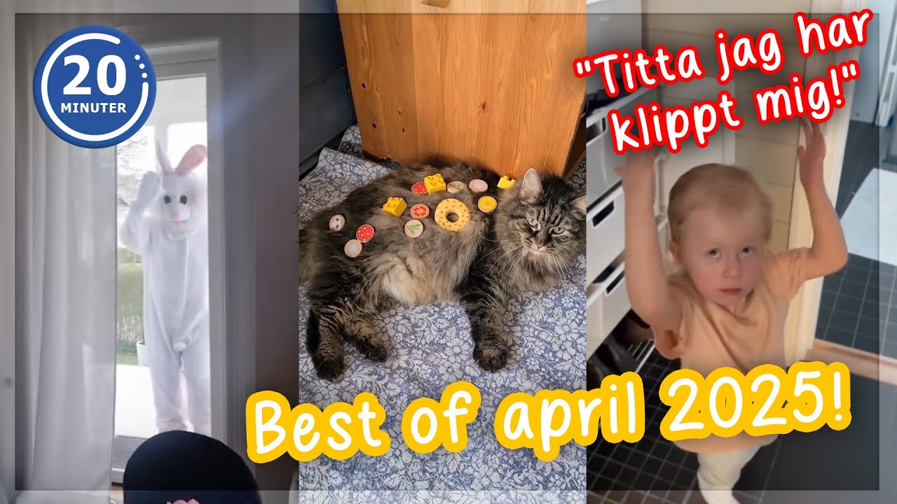 M&aring;nadens Roligaste Fr&aring;n 