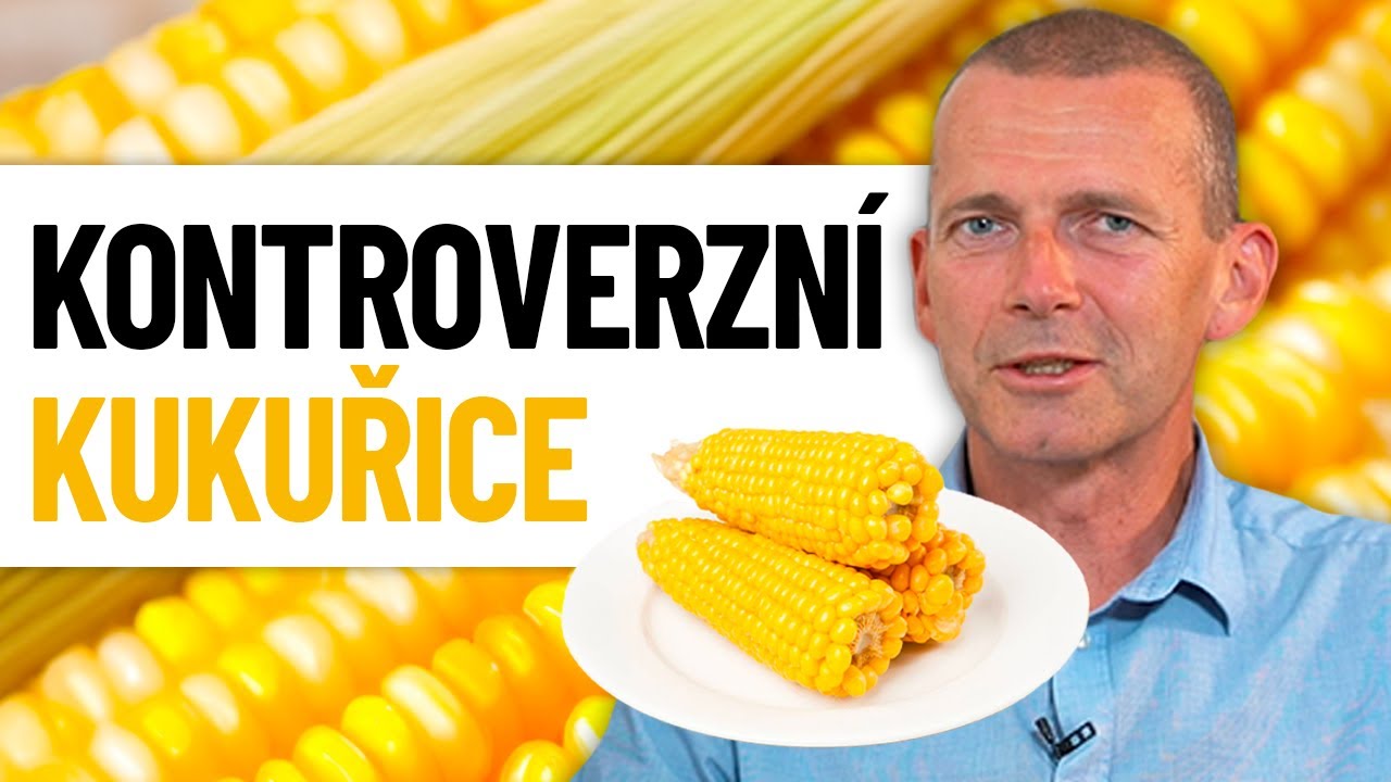 Patří kukuřice do našeho jídelníčku a v jaké formě se jí určitě vyhnout?