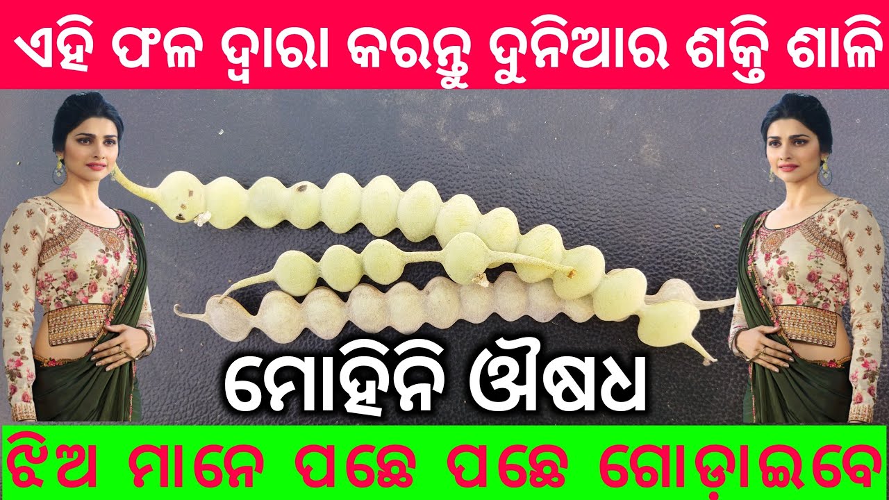 mohini osho odia | mohini osho video | tec bigyan | odia mohini mantra | vashikaran odia | tbc odia