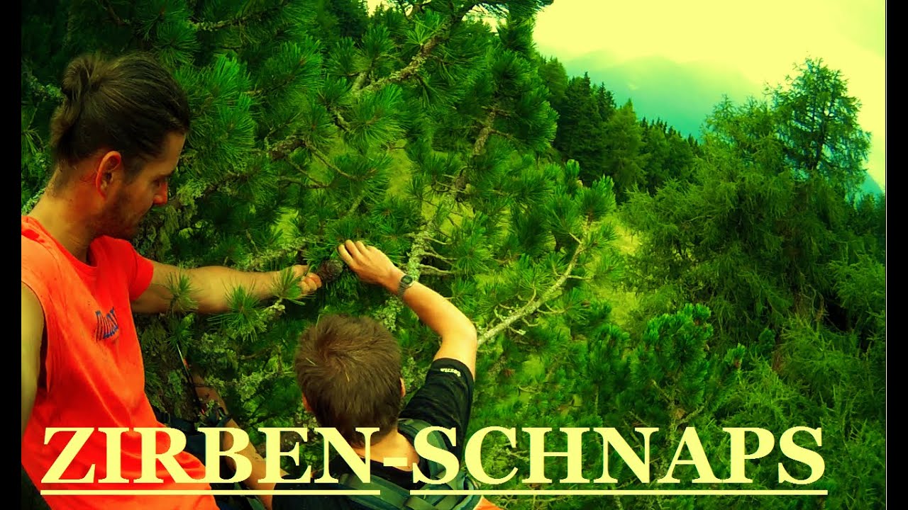 ZIRBENSCHNAPS ANSETZEN (PART1)