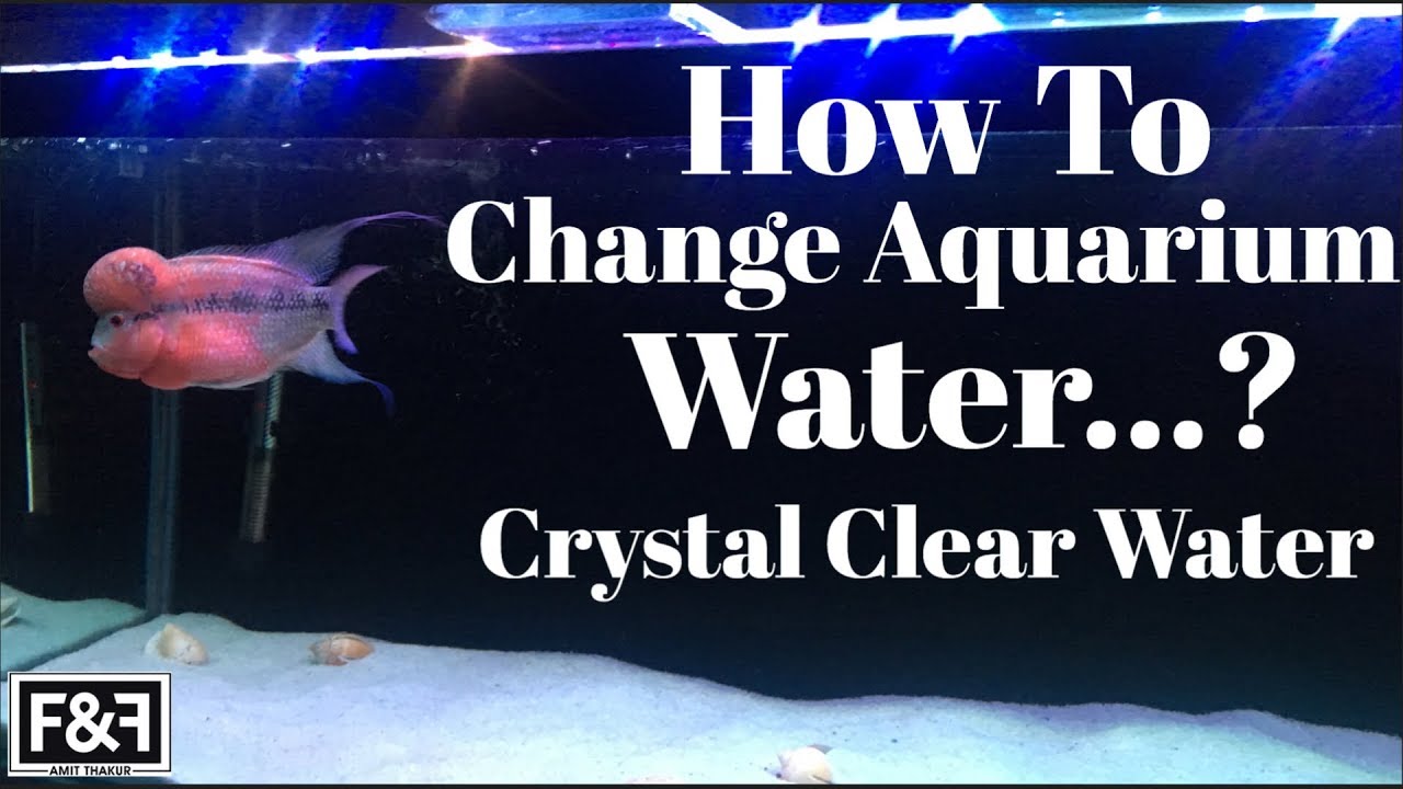 HOW TO :- CHANGE AQUARIUM WATER | CRYSTAL CLEAR WATER | STEP BY STEP FISH TANK CLEANING (IN HINDI)