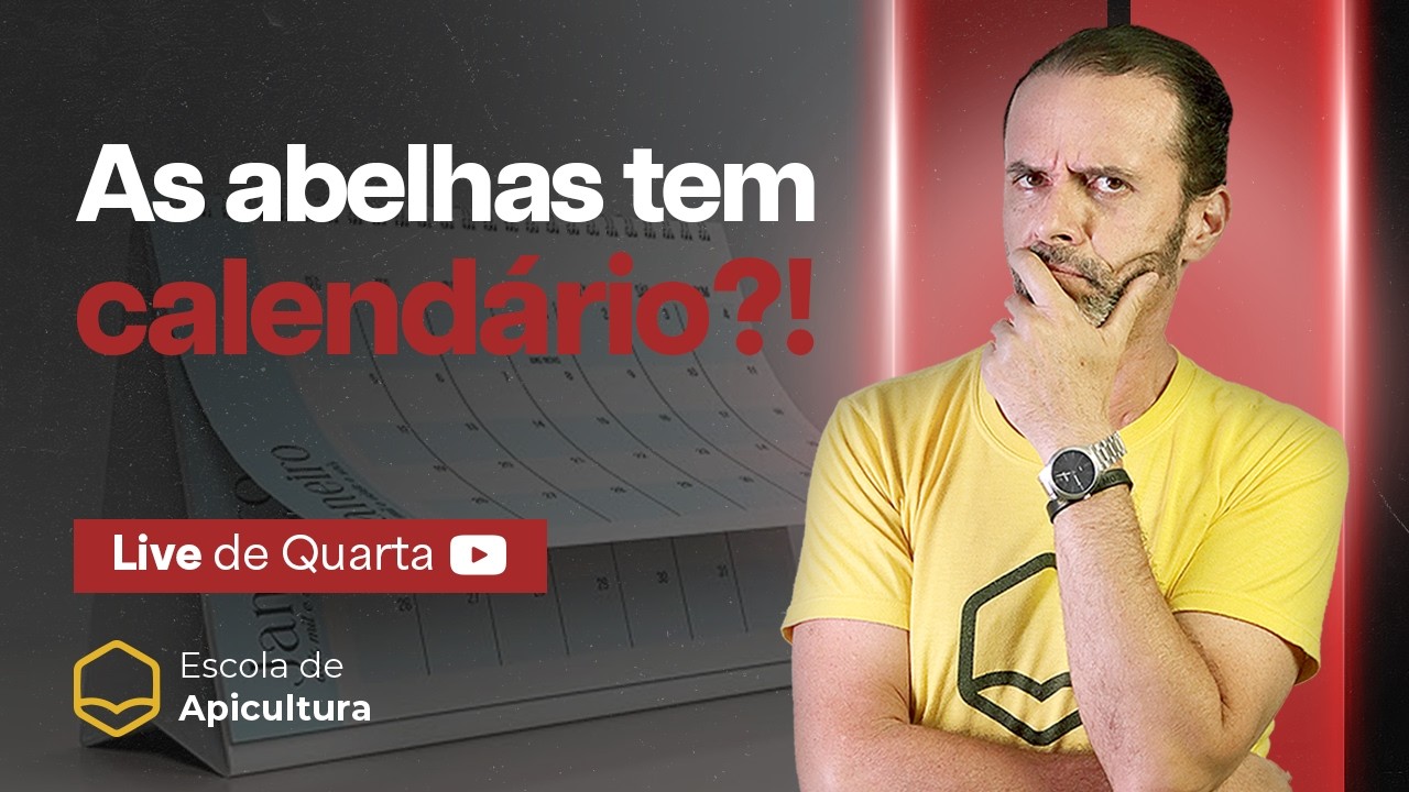 Calendário apícola 2026: o que fazer em cada mês para não perder produção