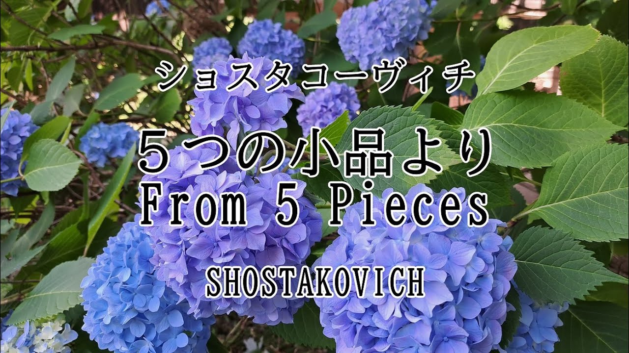 ５つの小品より  /  ショスタコーヴィチ　From 5 Pieces  /  Shostakovich   バウムクーヘンつまみぐいシリーズ　森玲子とアンサンブルバウムクーヘン