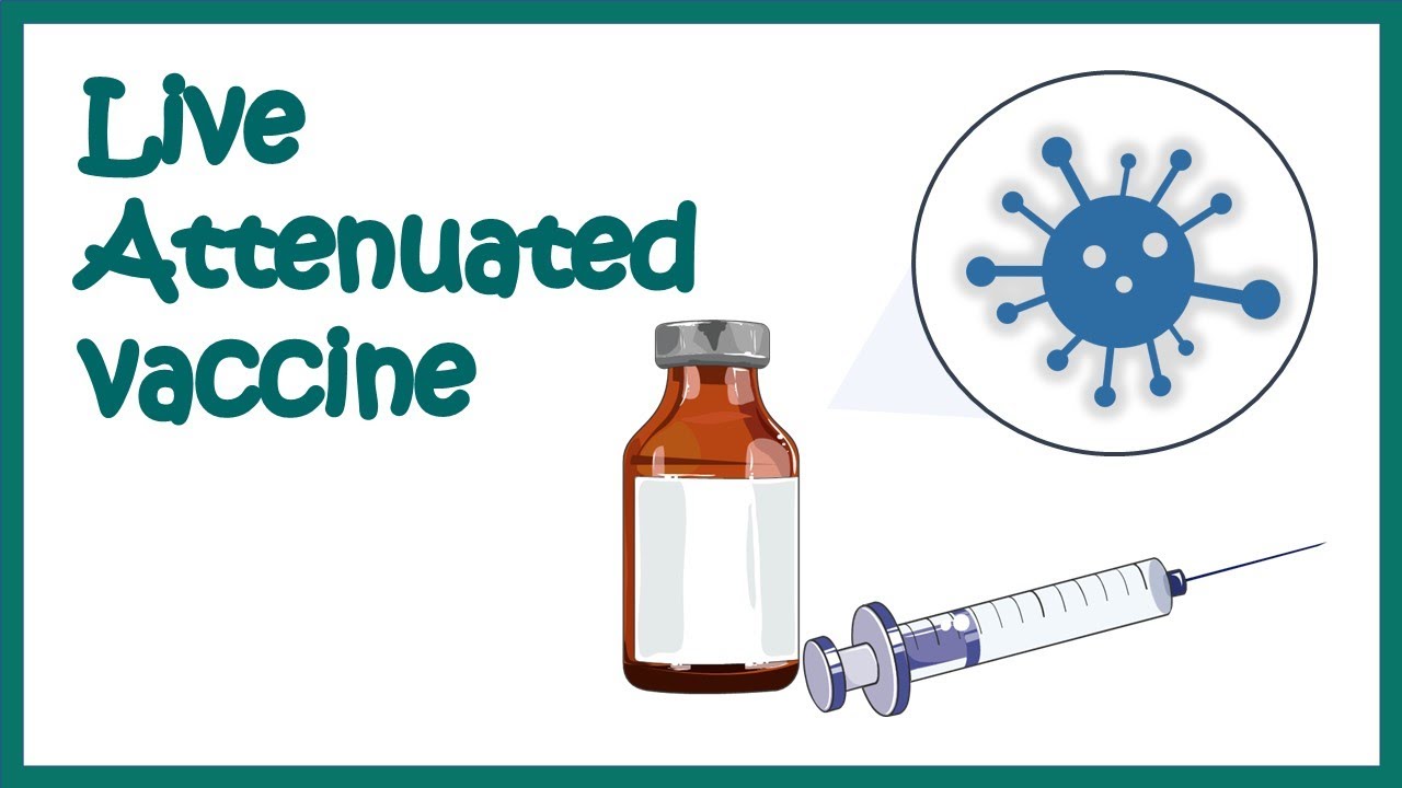 live attenuated vaccines