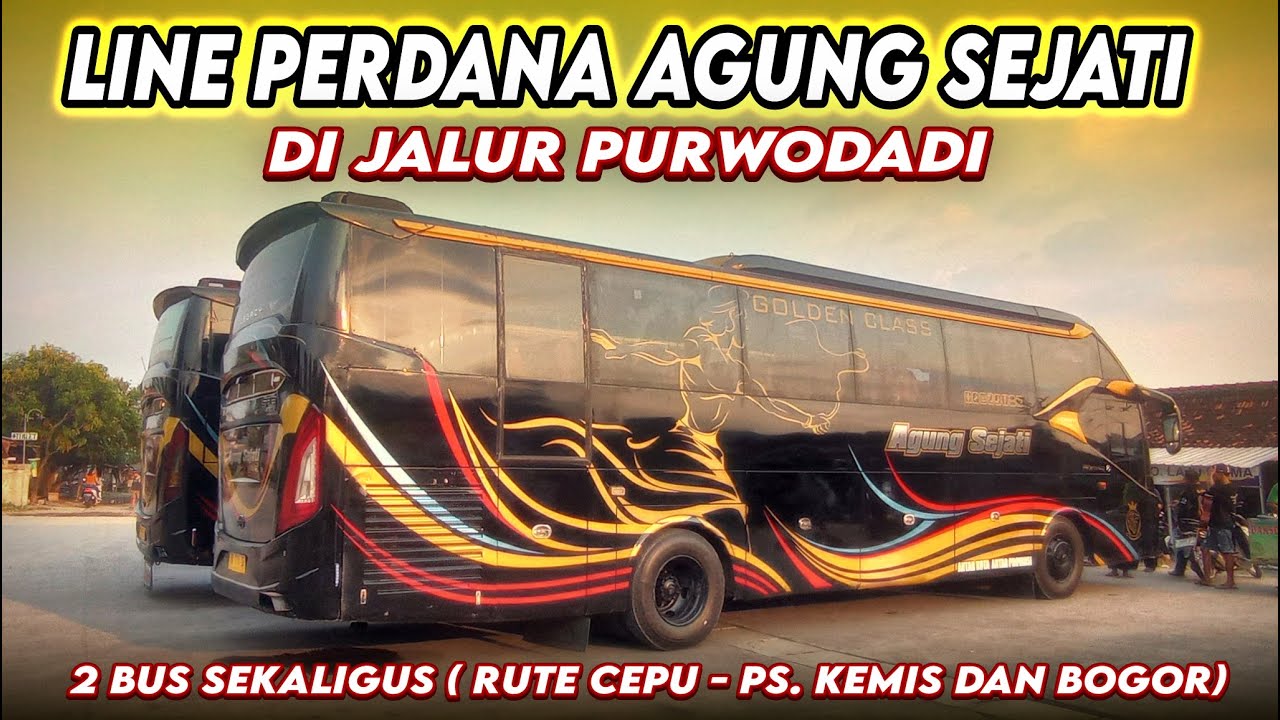 Line Perdana Agung Sejati di Jalur Purwodadi | Langsung terjunkan 2 Bus