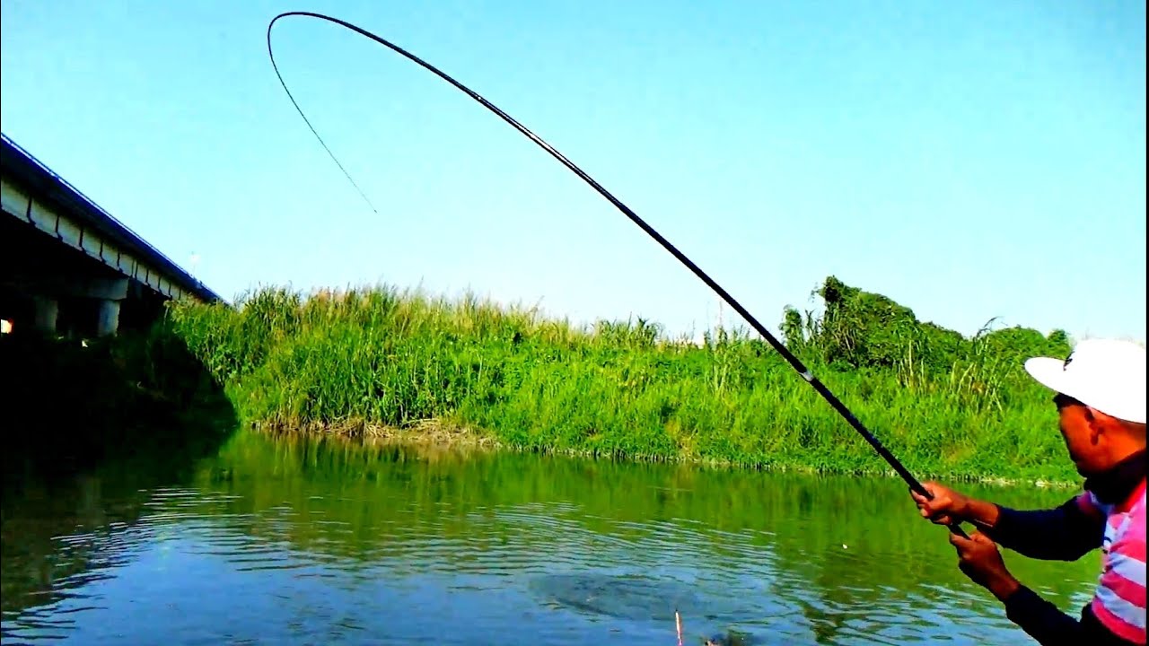 Spot Mancing Paling Indah Di Dunia, Ikan NILA nya BABON semua