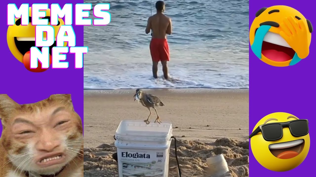 Videos Engraçados 2024🤣🤣//Melhores Memes da Net[ TENTE NAO RIR] #123 #memes #Humor#videosengraçados