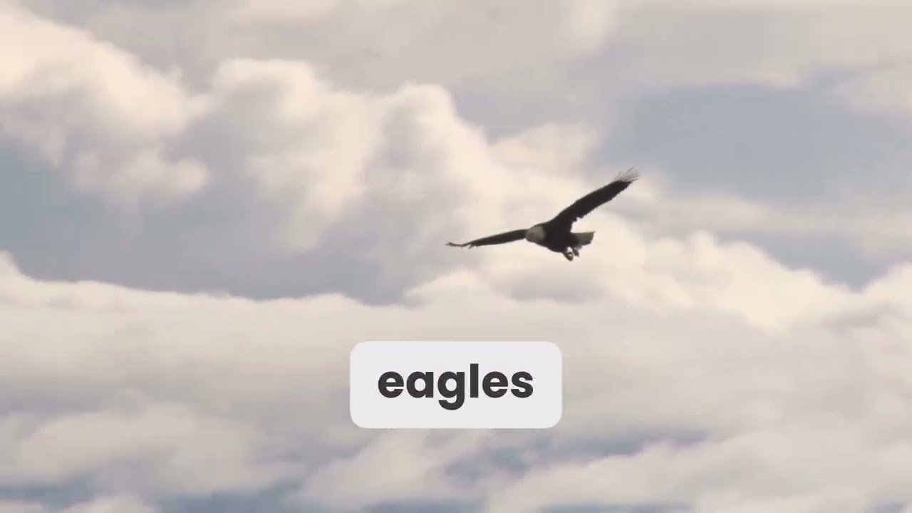 Eagle's Wings - Wings Like Eagles | An Isaiah 40:31 Song - Christian Praise & Worship Song