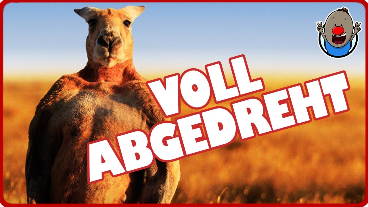 Wenn Tiere sprechen könnten 2 | voll abgedreht