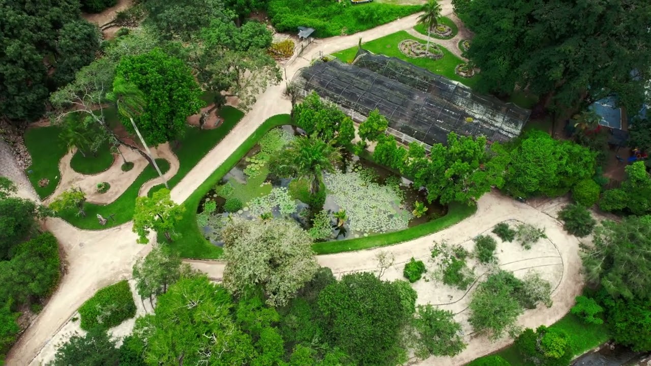 Jardim Botânico e Horto do Alto 🚁 Um dos Lugares Mais Bonitos do Rio | Drone 4K