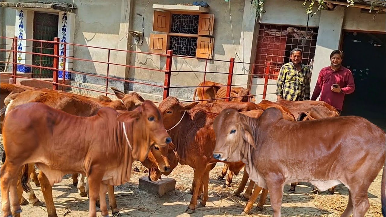 @আজ ১৮ ফেব্রুয়ারী