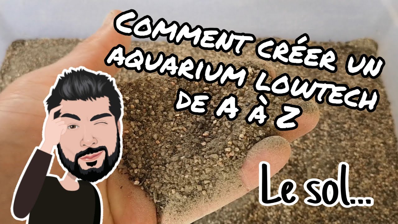 Comment créer un aquarium lowtech de A à Z : le sol
