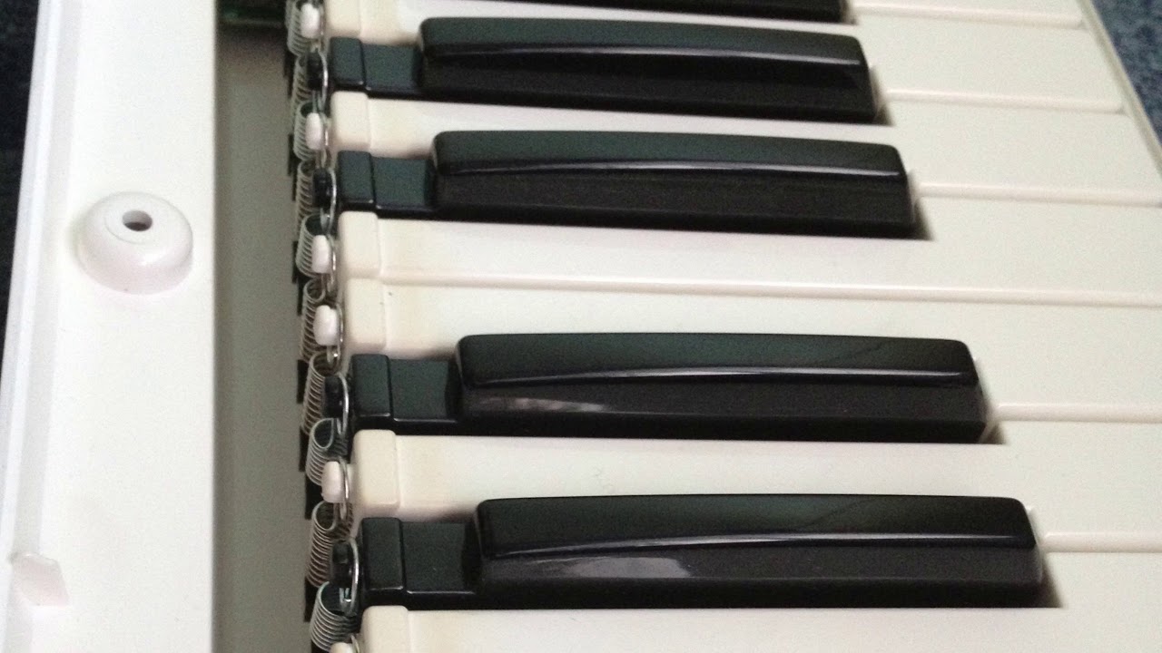 Roland Lucina Teardown