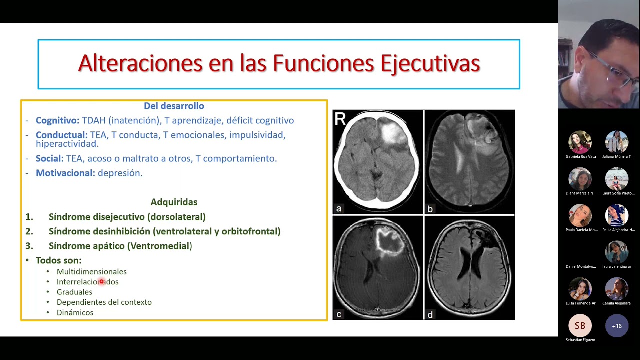Alteraciones en las funciones ejecutivas