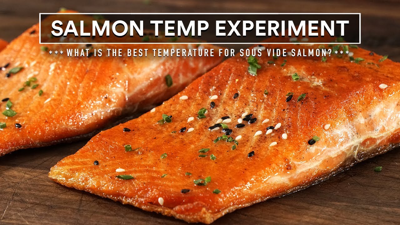 Sous Vide SALMON TEMPERATURE Experiment!
