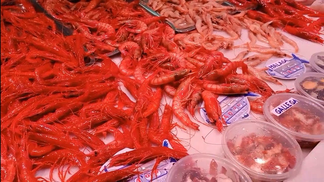 #gambas #carabineros #cefalópodos #pescados #y #mariscos #diferencia 👍