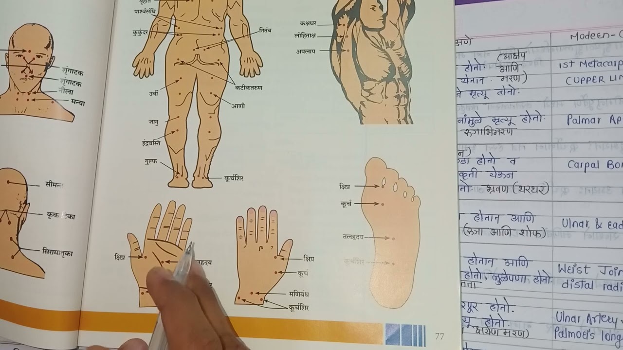 Marma Sharira | Bams 1st year | मर्म शारिर | Video Part 2 | Bams 1st year notes