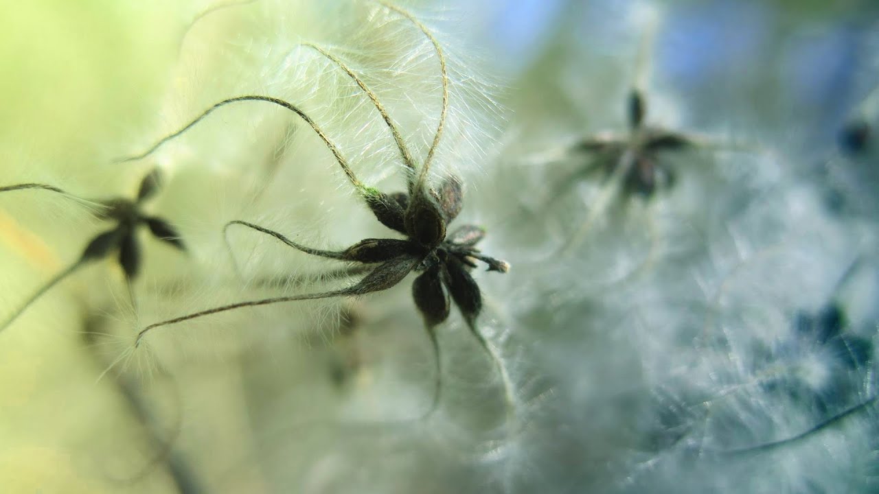 Tranquility - Ambient relaxing piano music for sleep or meditation