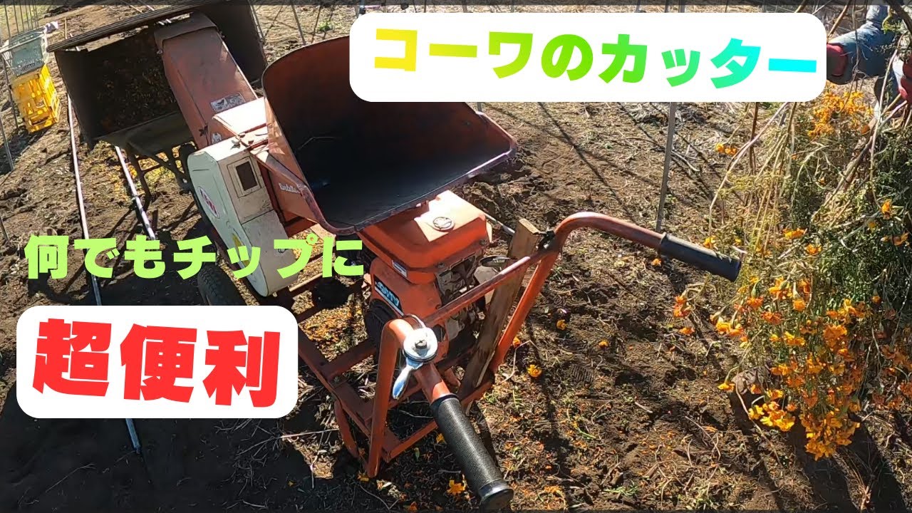 コーワ・カッターでマリーゴールドをチップにします