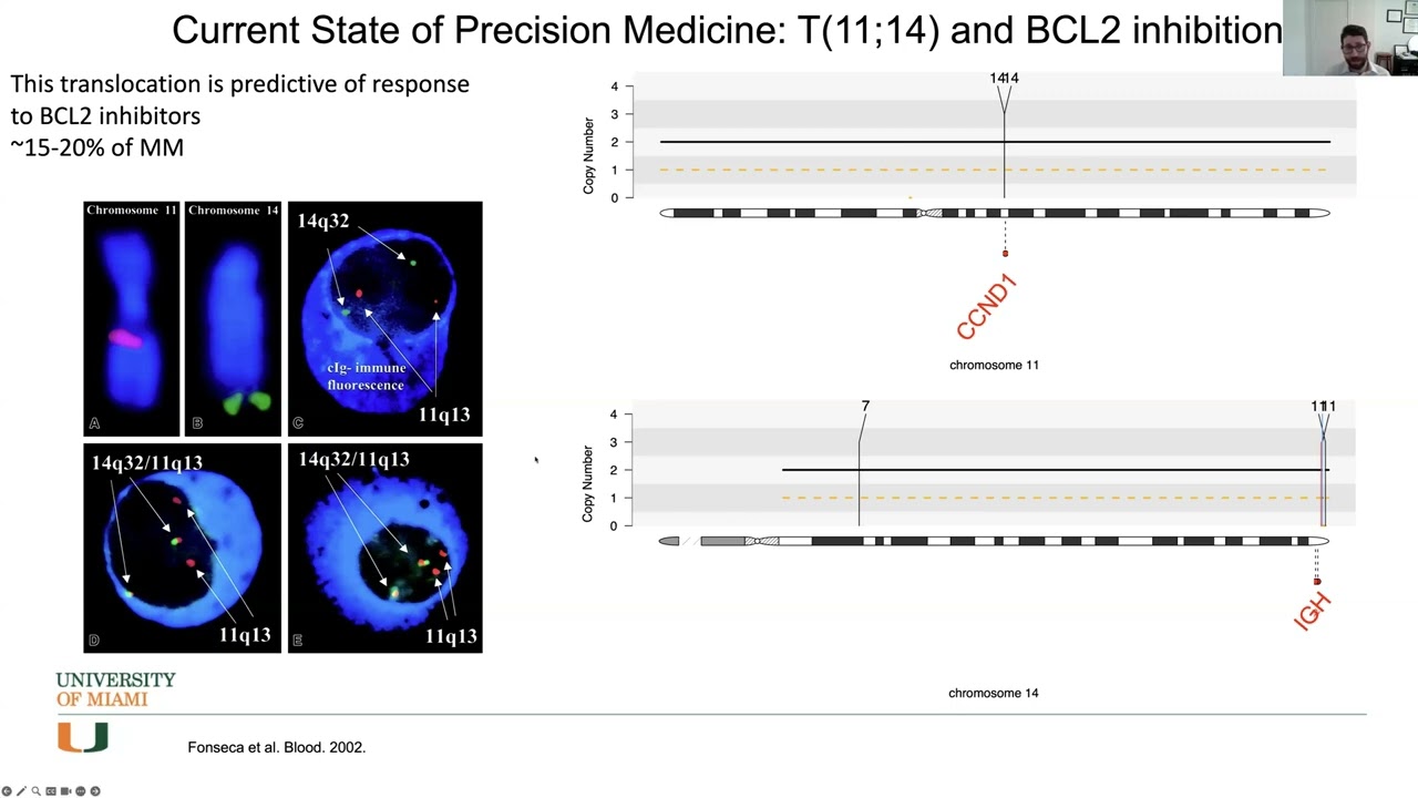 How Personalized Is Myeloma Treatment and How Is Changing? Introducing the Individual Risk Model