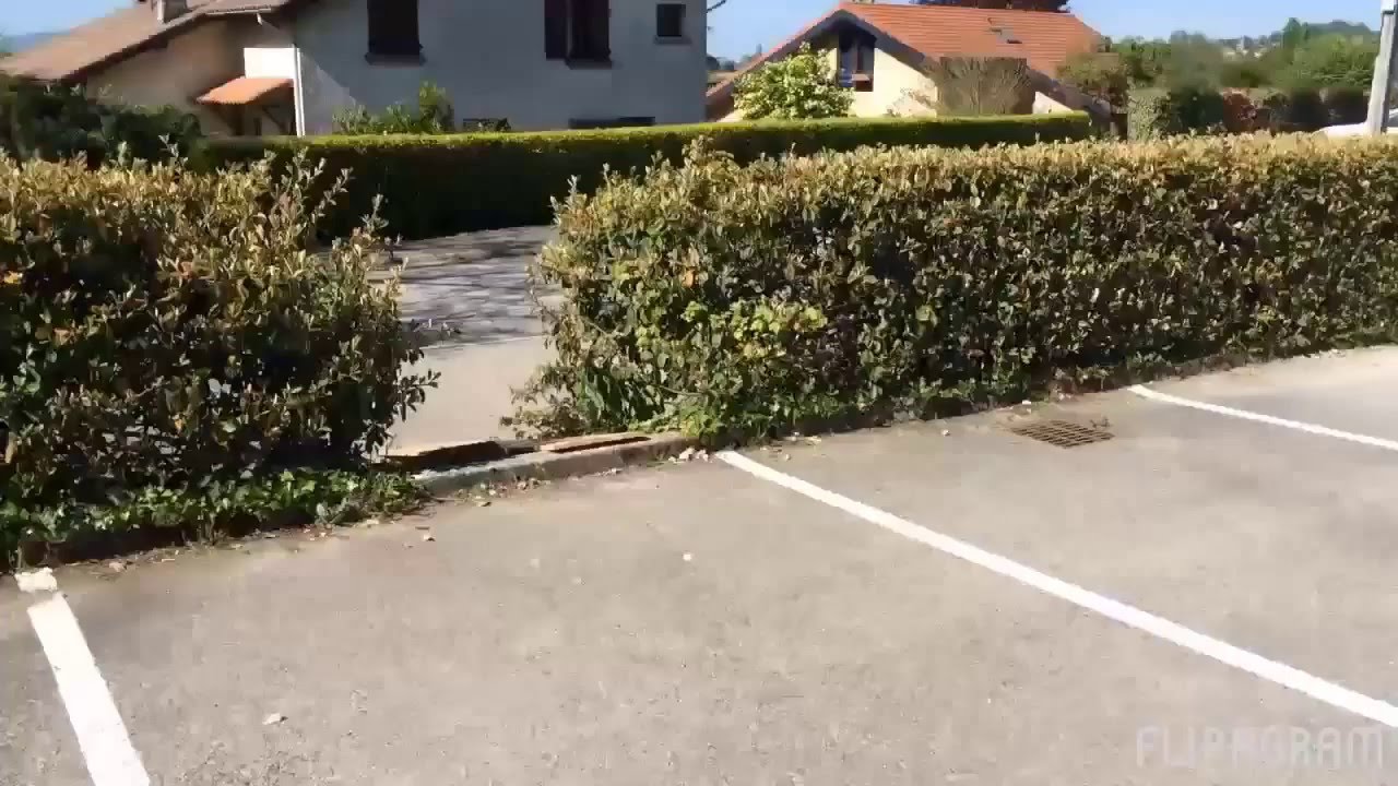 SMJ Scooters || edit