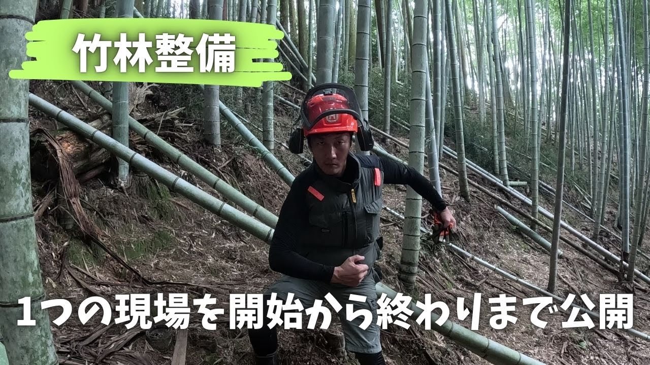 今年もゆる～く開始しました竹林整備！