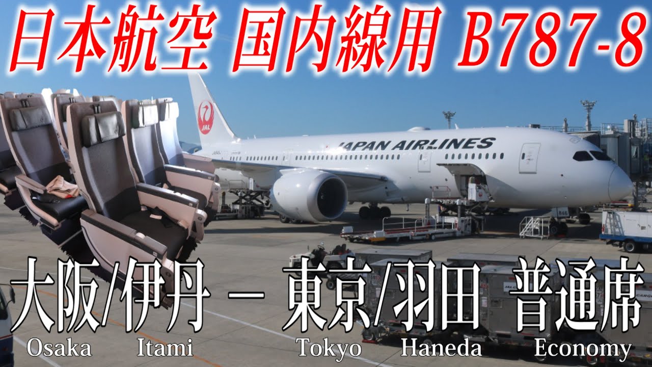 日本航空 国内線仕様 B787-8 普通席搭乗記 大阪/伊丹−東京/羽田  Japan Airlines(Economy) Osaka/Itami to Tokyo Haneda