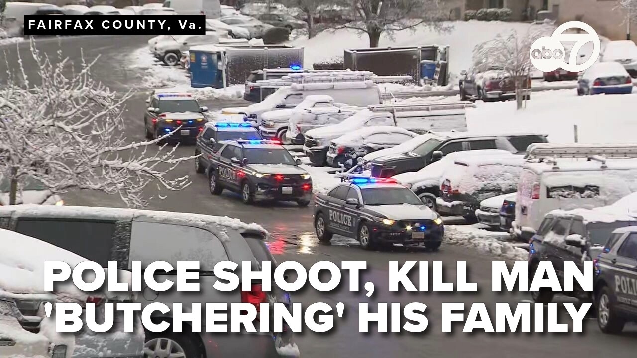 Police shoot, kill man 'butchering' his family