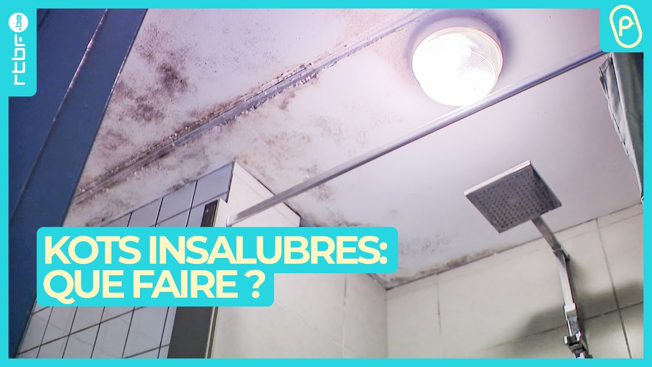Kots insalubres à Louvain-La-Neuve : que faire ?  - On n'est pas des Pigeons