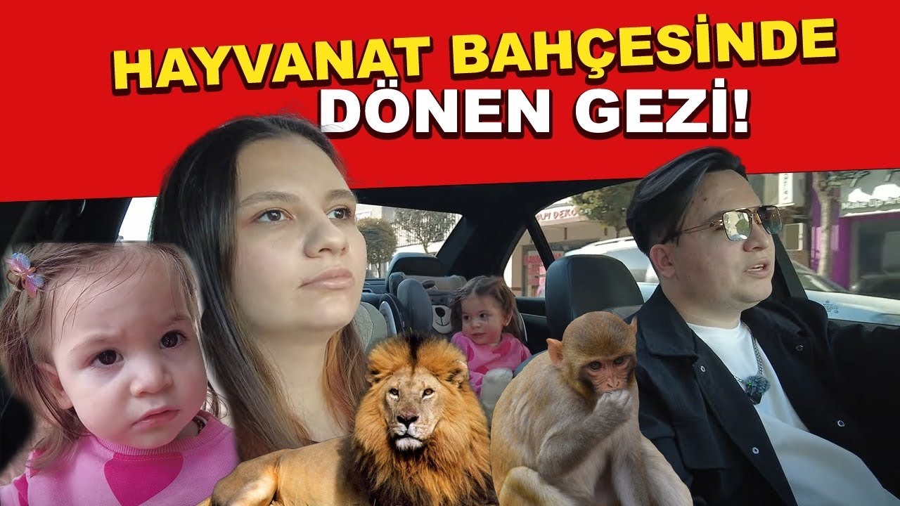Lina İlk Defa Aslan Gördü! 🦁 Tepkisi Çok Tatlıydı! 😍