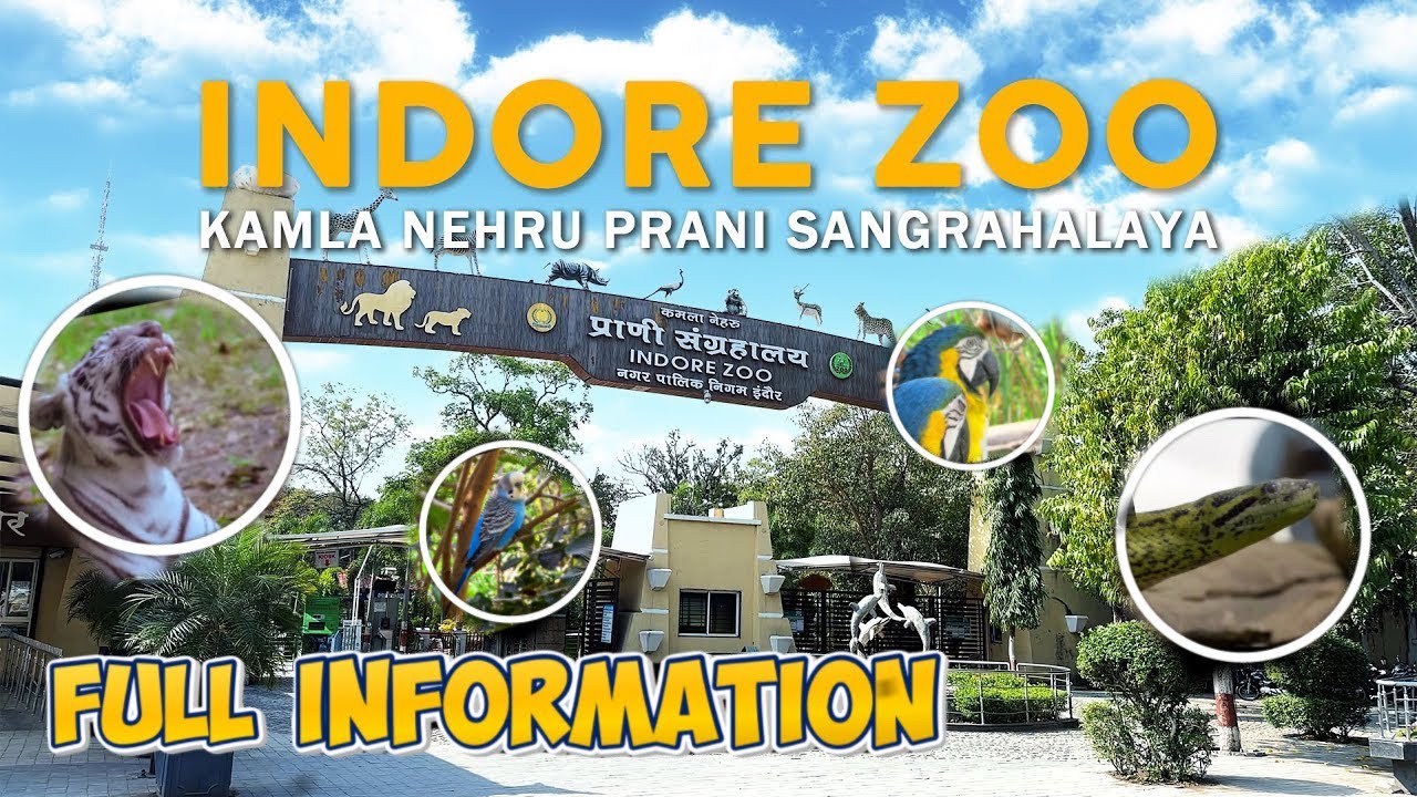 Kamal Nehru Prani Sangrahalaya | Indore Zoo | Indore Madhya Pradesh | इंदौर चिड़ियाघरो